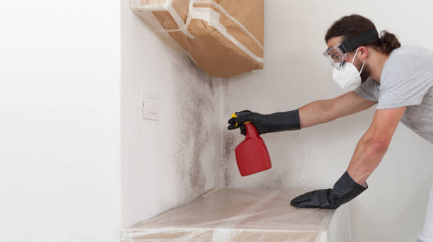 Professional Bathroom Mold Removal technician working in Swarthmore, PA